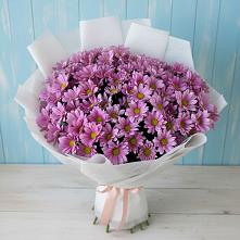 Букет цветов из:  Хризантемы в Инзер