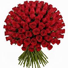 Букет Красные розы Чери Лав #REPLACE_PRED# Инзер